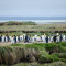 Punta Arenas oder das Ende der Welt